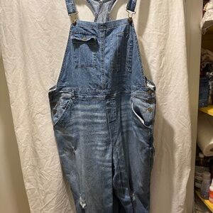 Anthropologie Pilco Jean Overalls 22w